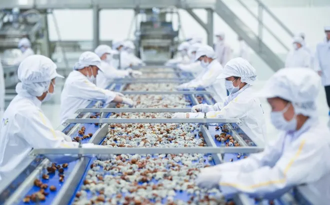 Liên kết chuỗi cung ứng - nền tảng phát triển bền vững doanh nghiệp