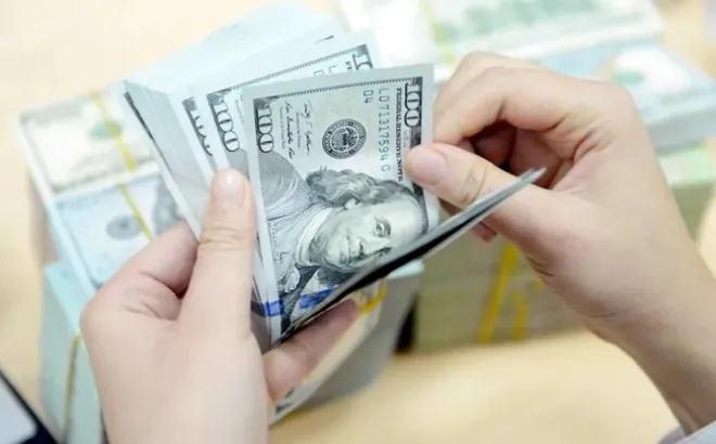 Tỷ giá USD hôm nay 19/1/2026: Thị trường tự do tiếp tục giảm, trong ngân hàng đi ngang