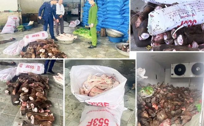 Thu giữ gần 6 tấn thực phẩm bẩn tại Thanh Hóa