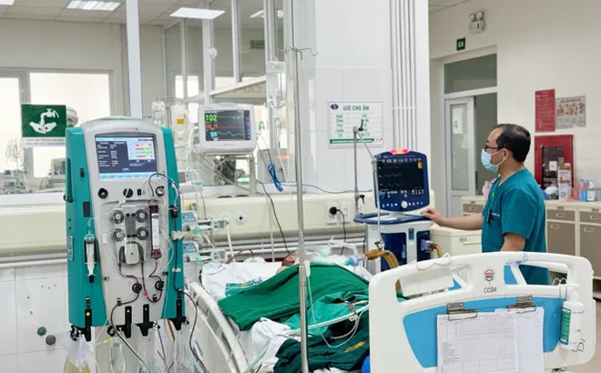 Thêm một người đàn ông ở Hà Nội mắc liên cầu lợn