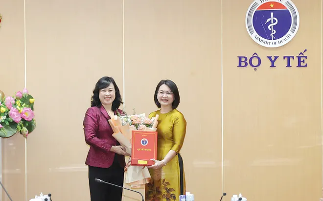 TS Trần Việt Nga được bổ nhiệm giữ chức Cục trưởng Cục An toàn thực phẩm