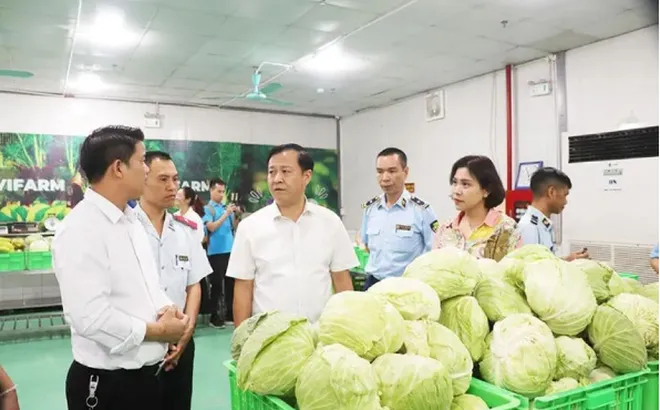 Dưa, cà muối bảo quản không an toàn: nguy cơ gây ngộ độc botulinum?