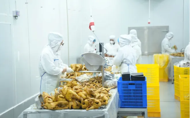 Bộ Y tế chỉ đạo khẩn, yêu cầu tăng cường kiểm tra đột xuất, ngăn chặn “thực phẩm bẩn” len lỏi vào học đường