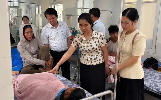 Khẩn trương điều tra, xử lý vụ nghi ngộ độc thực phẩm sau khi ăn bánh mì ở Quảng Trị