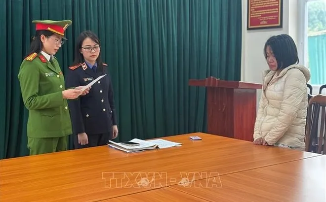 Truy tố nữ “ô sin” bạo hành cụ bà 82 tuổi