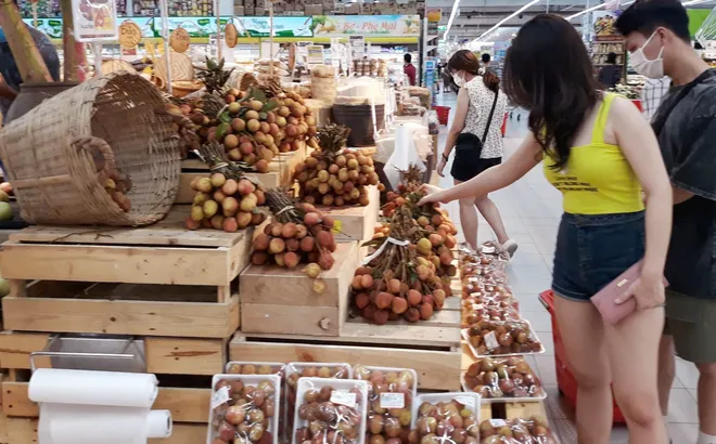 Vải thiều vào vụ thu hoạch, Hà Nội hỗ trợ các địa phương tiêu thụ
