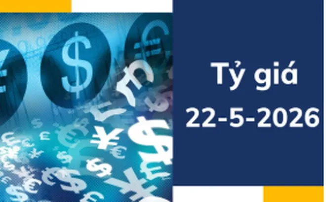 Tỷ giá ngày 22-5: USD đi ngang