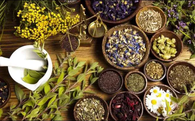 Phát huy vai trò của y học cổ truyền trong chăm sóc, nâng cao sức khỏe nhân dân