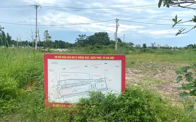 Xã Kiều Phú: Vì sao người trúng đấu giá đất ở lại thấp thỏm về quy hoạch?