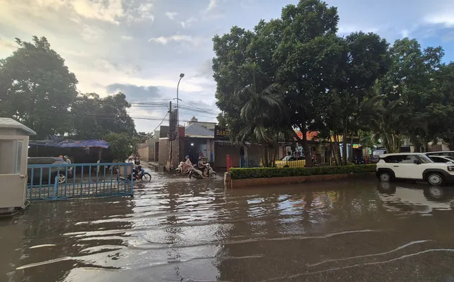 Chung cư Tân Việt (xã Hoài Đức): Cứ mưa là ngập